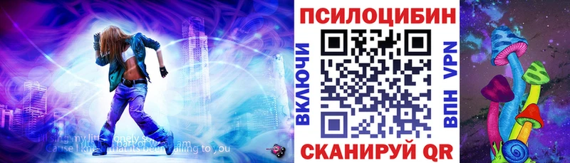 Галлюциногенные грибы MAGIC MUSHROOMS  где купить наркоту  Полысаево 